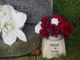 image of grave number 816554